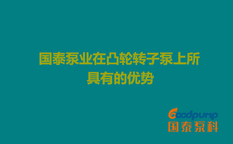 合欢视频污泵业在凸轮合欢视频导航上所具有的优势