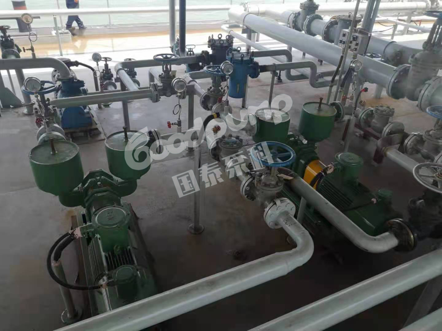 船用合欢视频导航